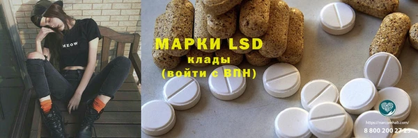 амф Алзамай