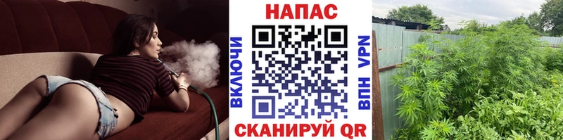 даркнет сайт  Муравленко  Канабис OG Kush 